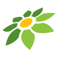 DEWAHOKI88